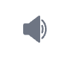 Developer Options icon