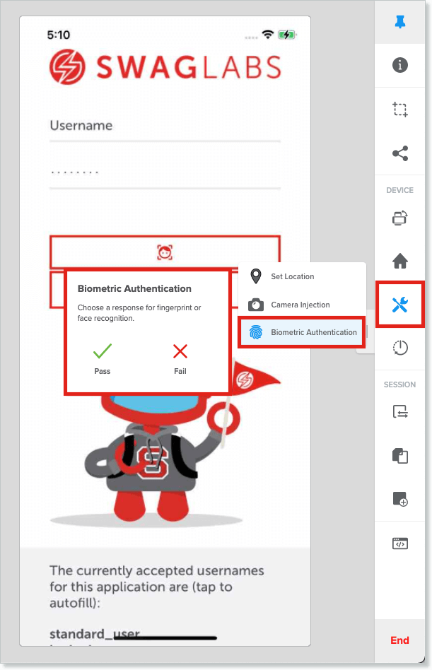 Biometric Authentication